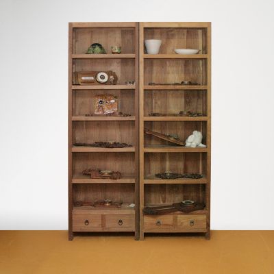 uitvoeren Port Resoneer Boekenkast op maat: houten boekenkasten op maat gemaakt